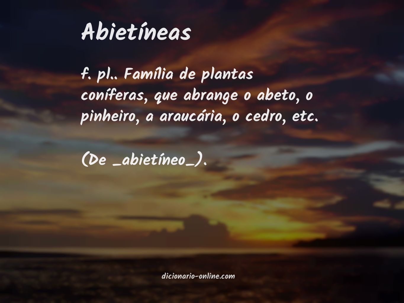 Significado de abietíneas