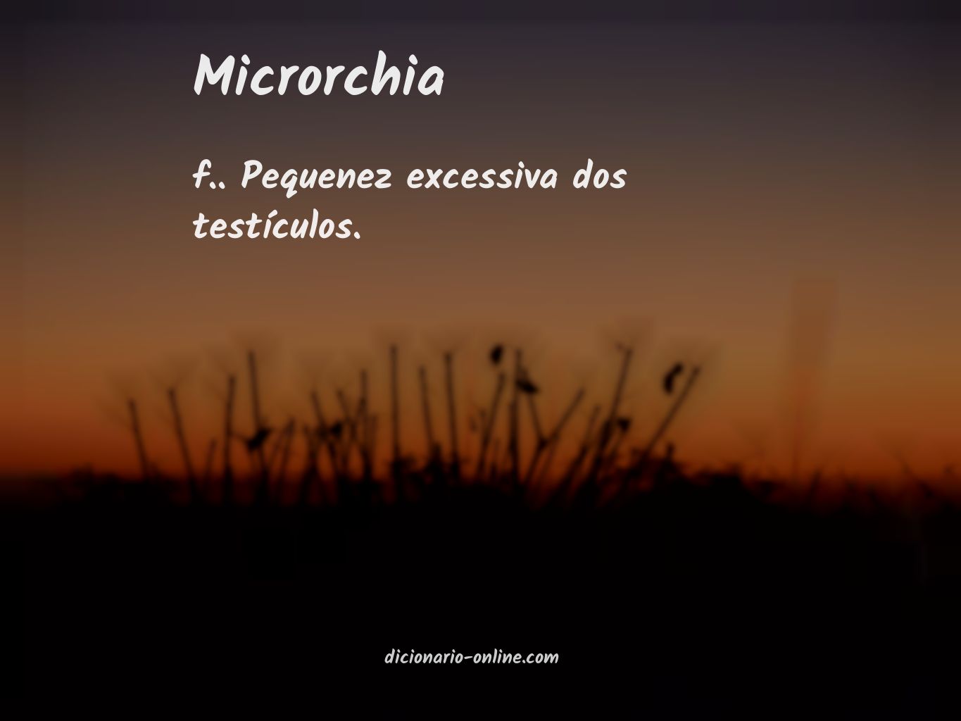Significado de microrchia