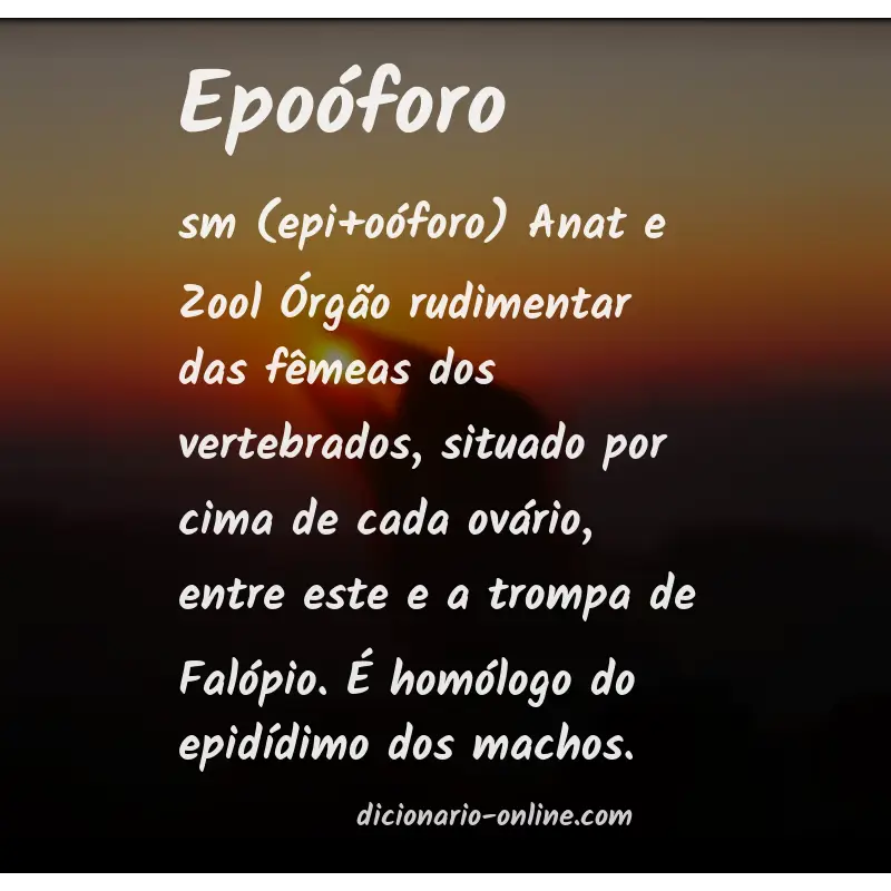 Significado de epoóforo