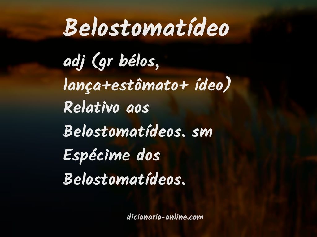 Significado de belostomatídeo