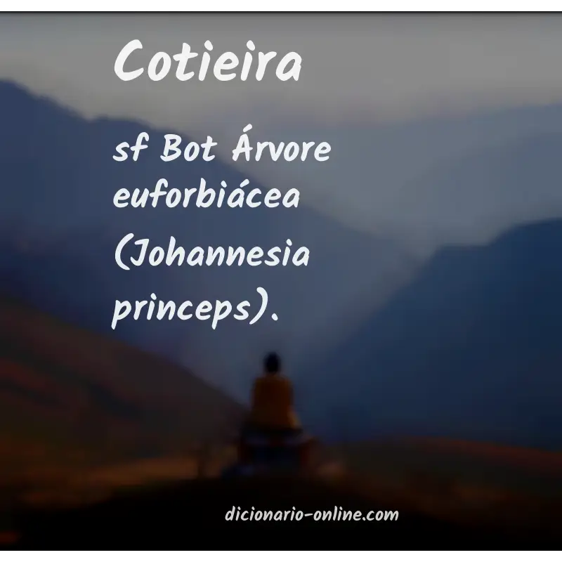 Significado de cotieira