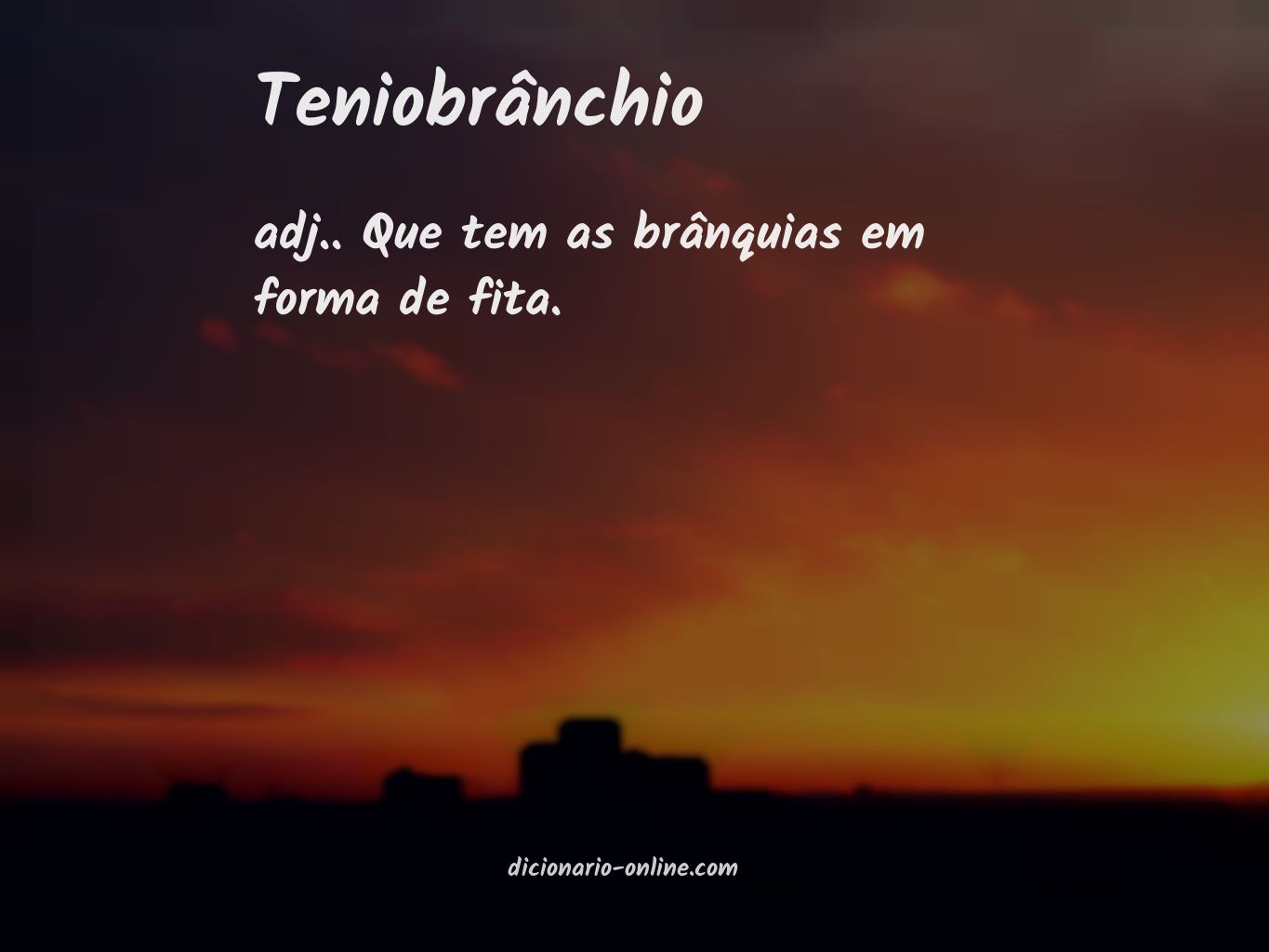 Significado de teniobrânchio