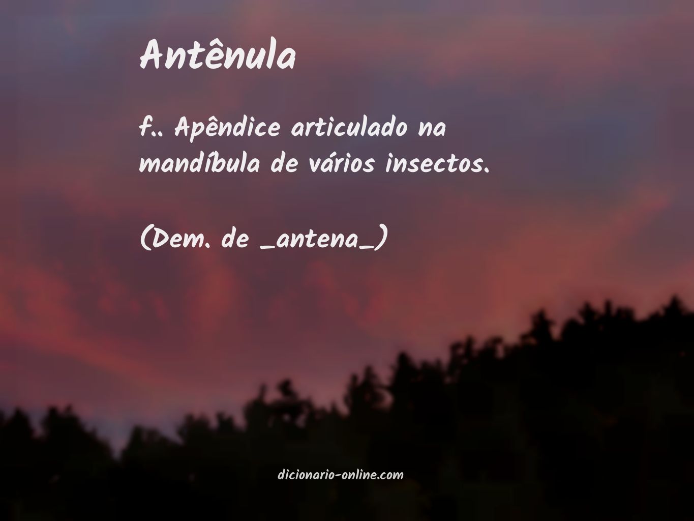 Significado de antênula