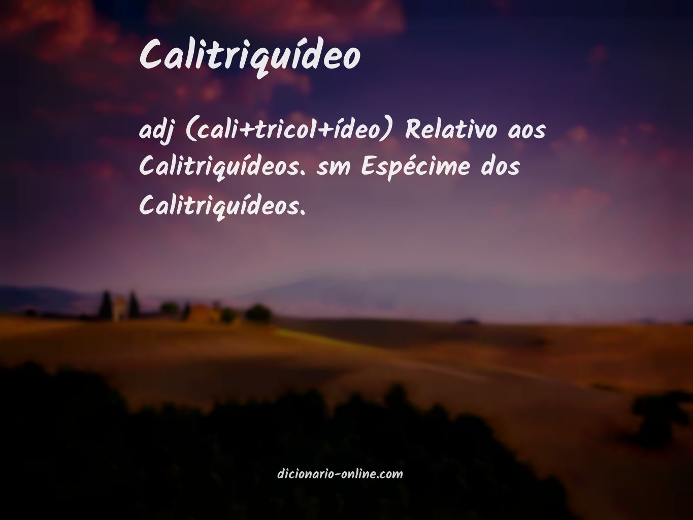 Significado de calitriquídeo