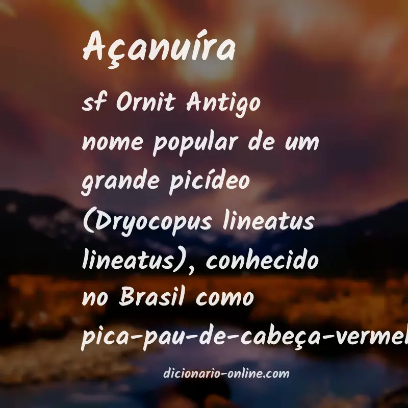 Significado de açanuíra