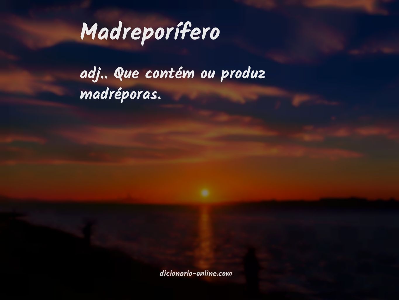 Significado de madreporífero