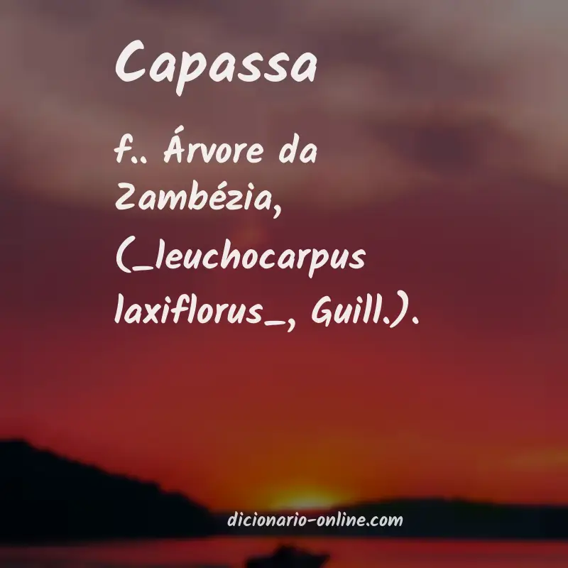 Significado de capassa