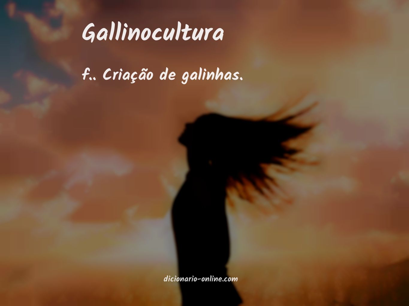 Significado de gallinocultura