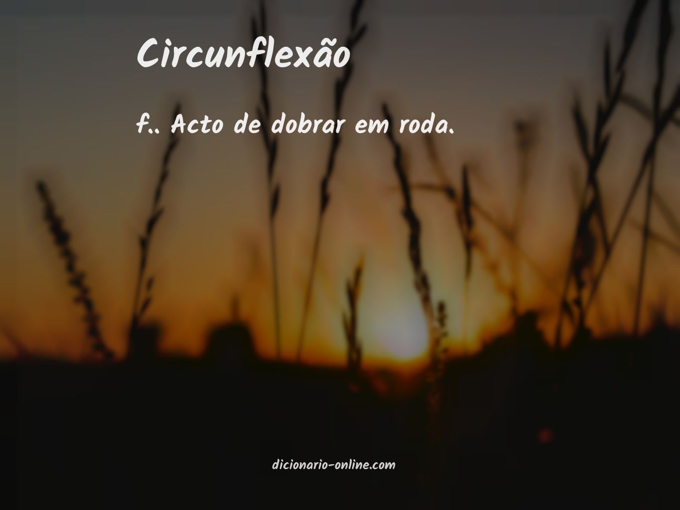 Significado de circunflexão