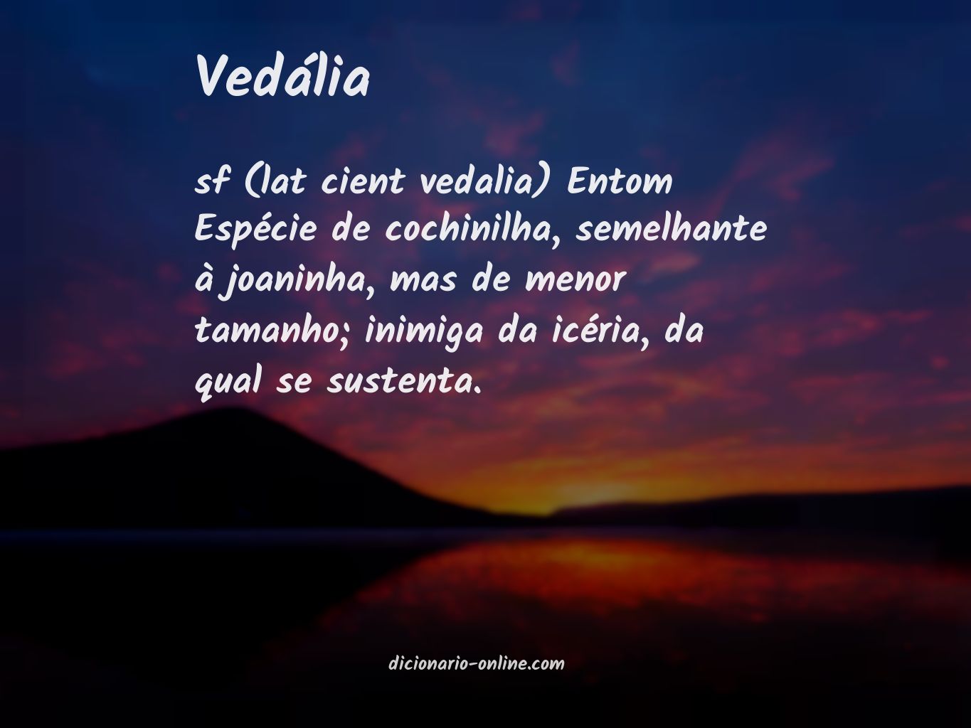 Significado de vedália