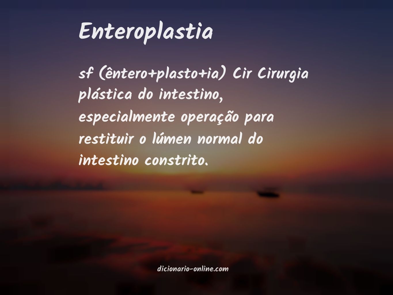 Significado de enteroplastia