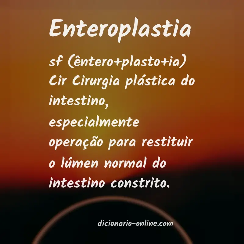 Significado de enteroplastia