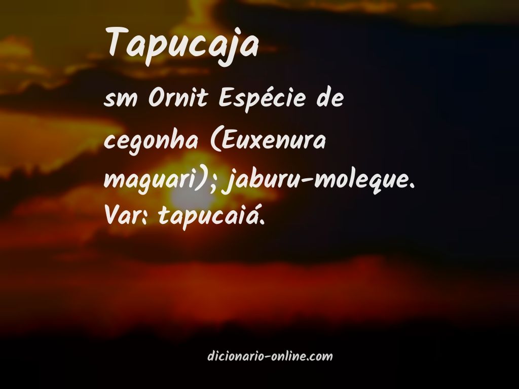 Significado de tapucaja