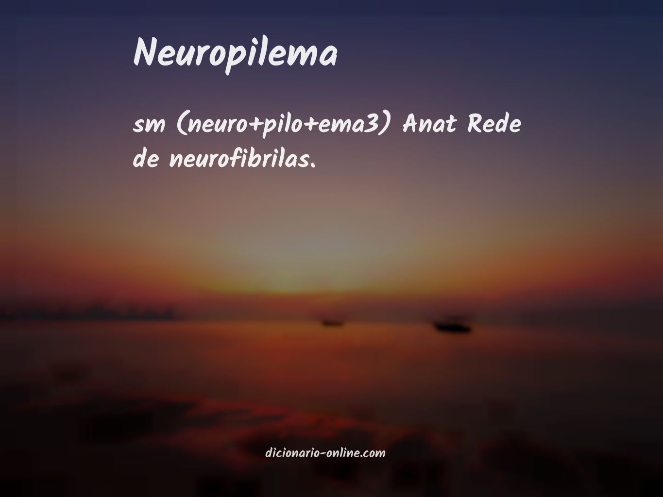 Significado de neuropilema