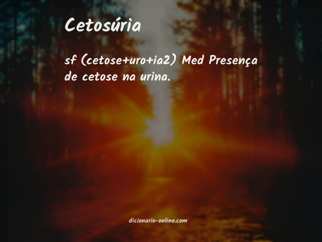 Significado de cetosúria