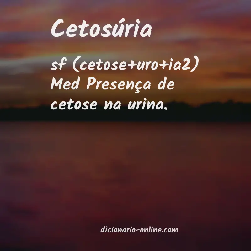 Significado de cetosúria