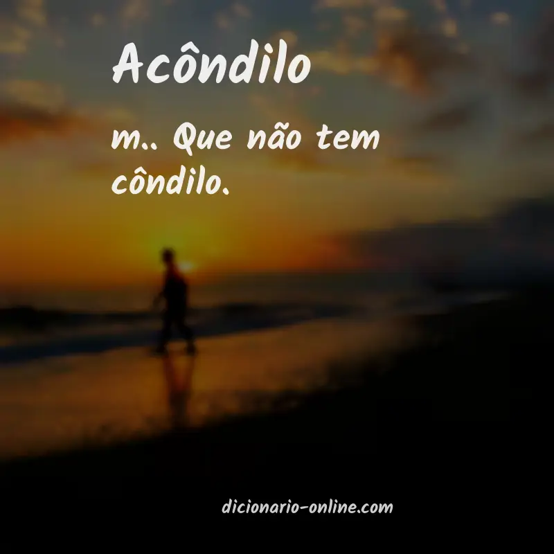 Significado de acôndilo
