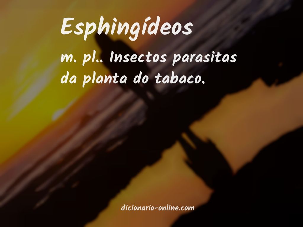 Significado de esphingídeos