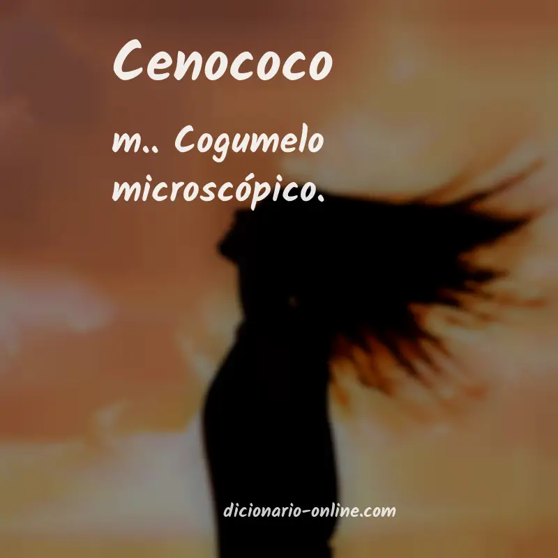 Significado de cenococo