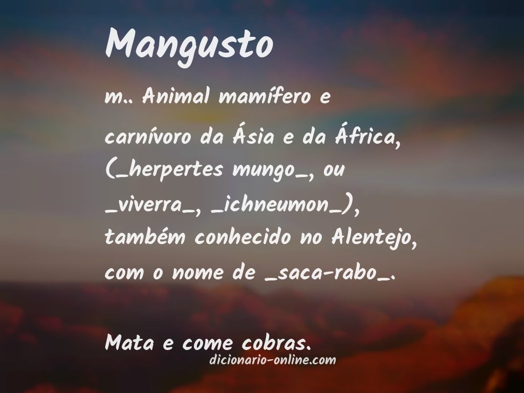 Significado de mangusto