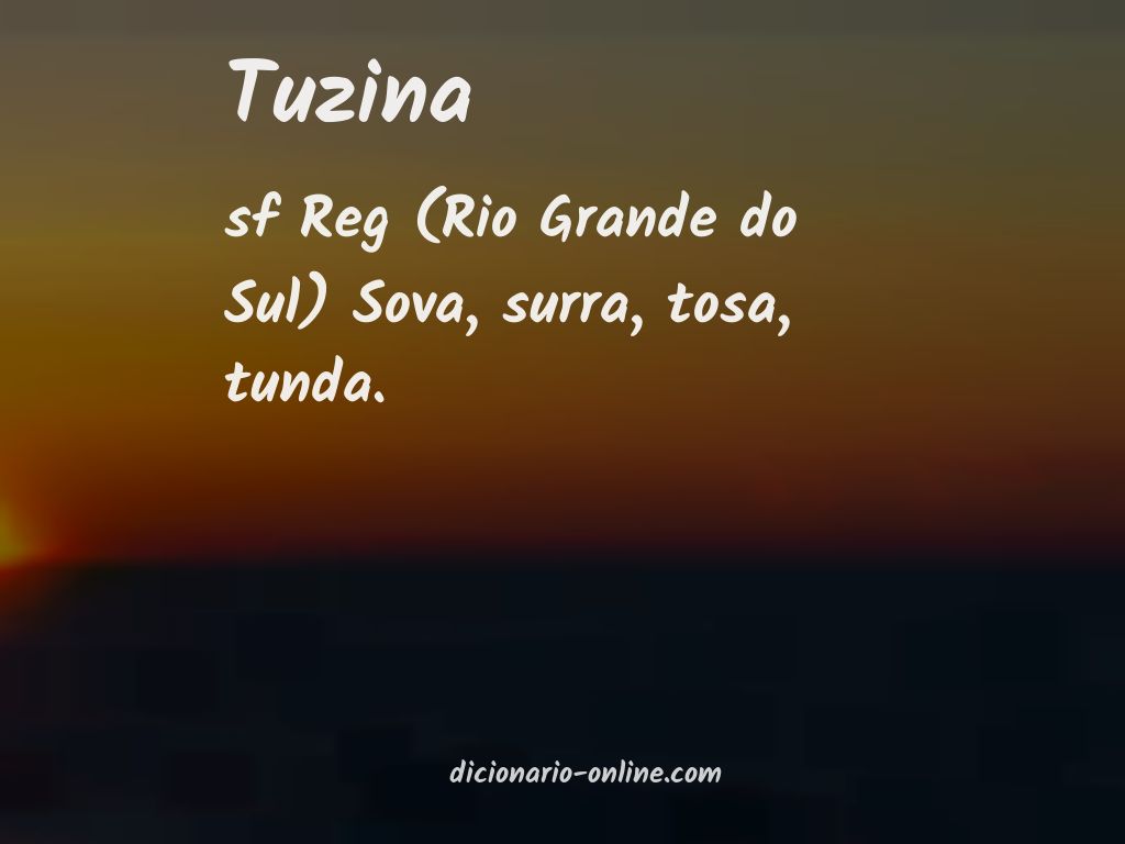 Significado de tuzina