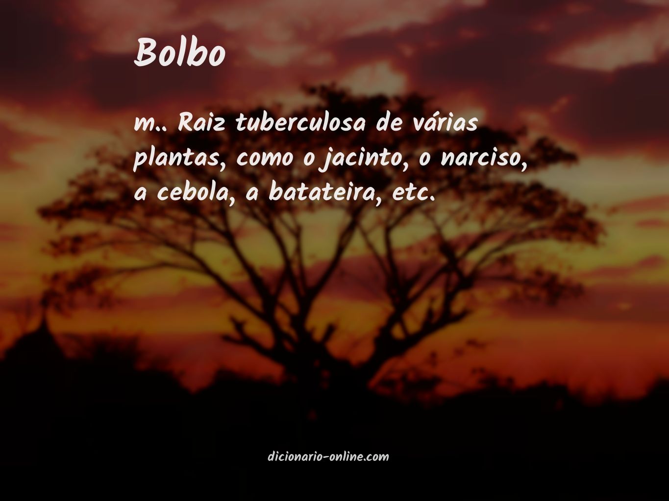 Significado de bolbo