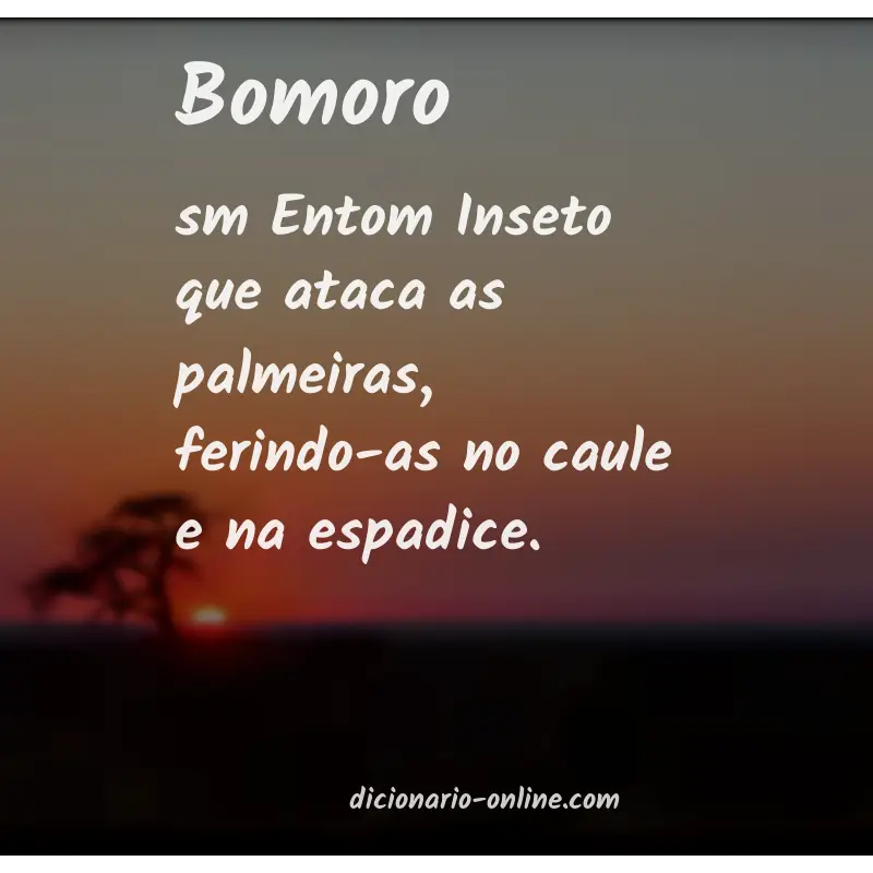 Significado de bomoro