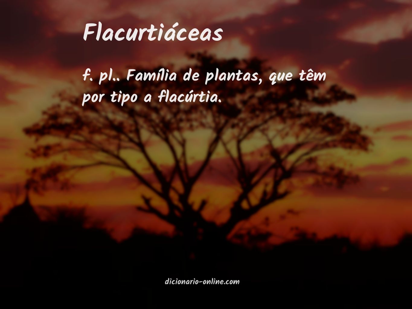 Significado de flacurtiáceas