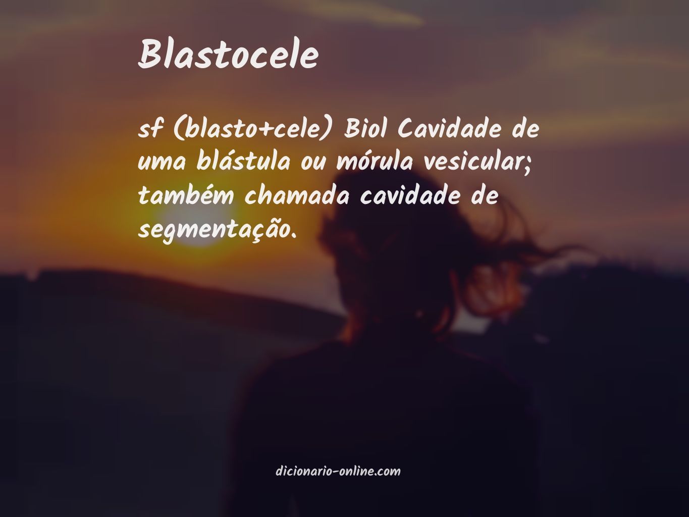 Significado de blastocele