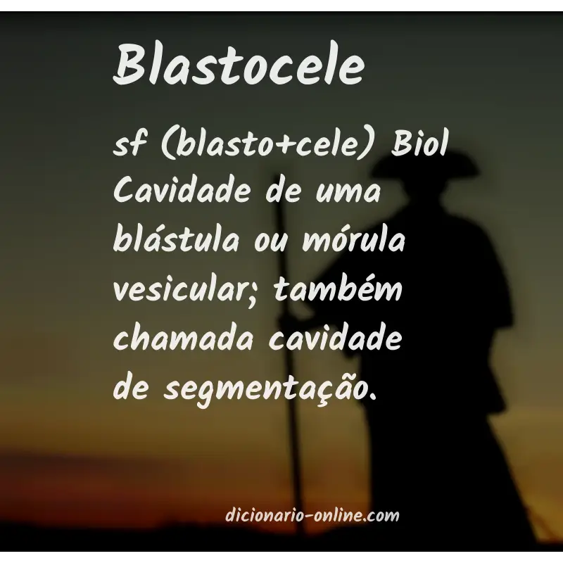 Significado de blastocele