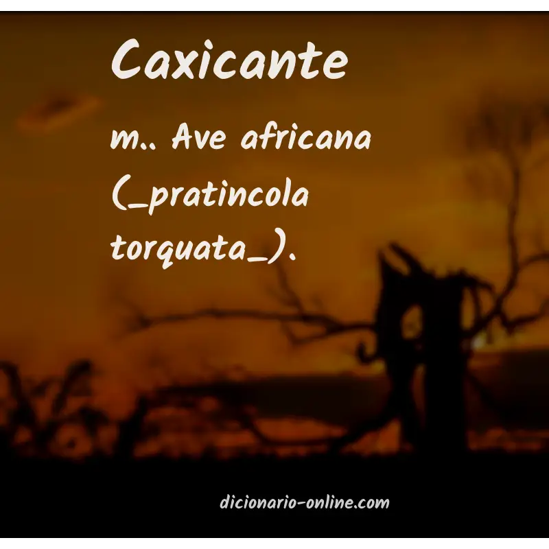 Significado de caxicante