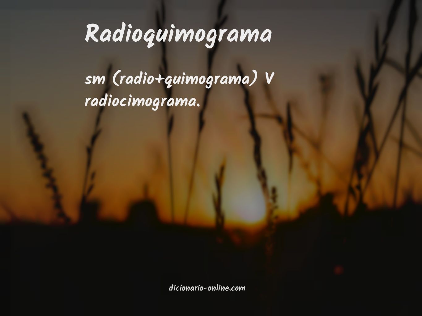 Significado de radioquimograma