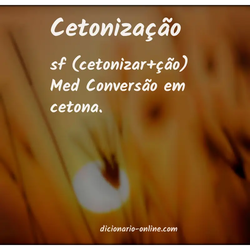 Significado de cetonização