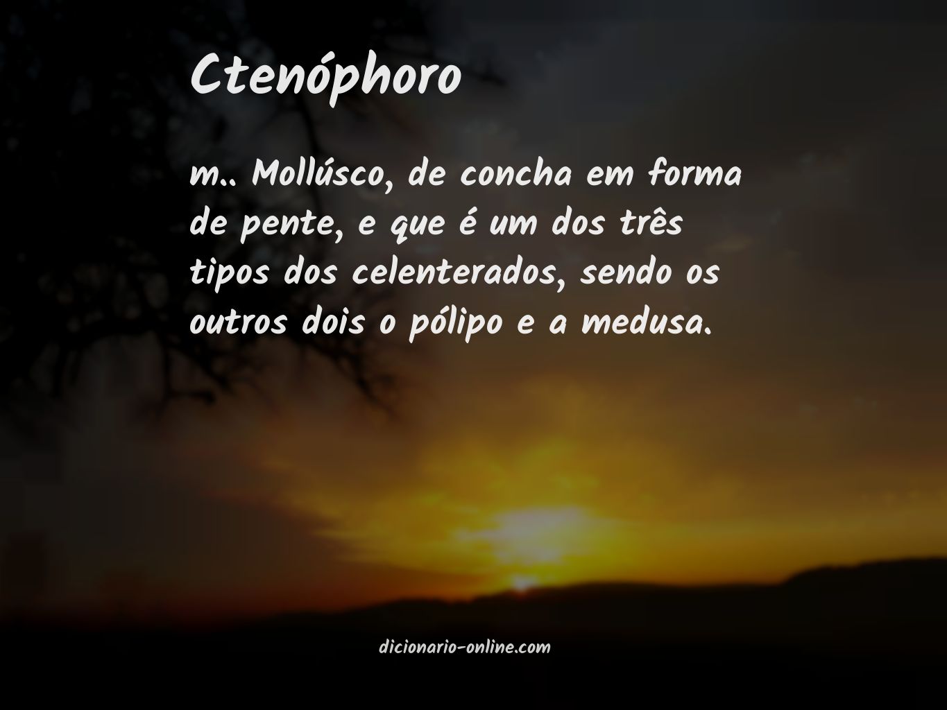 Significado de ctenóphoro