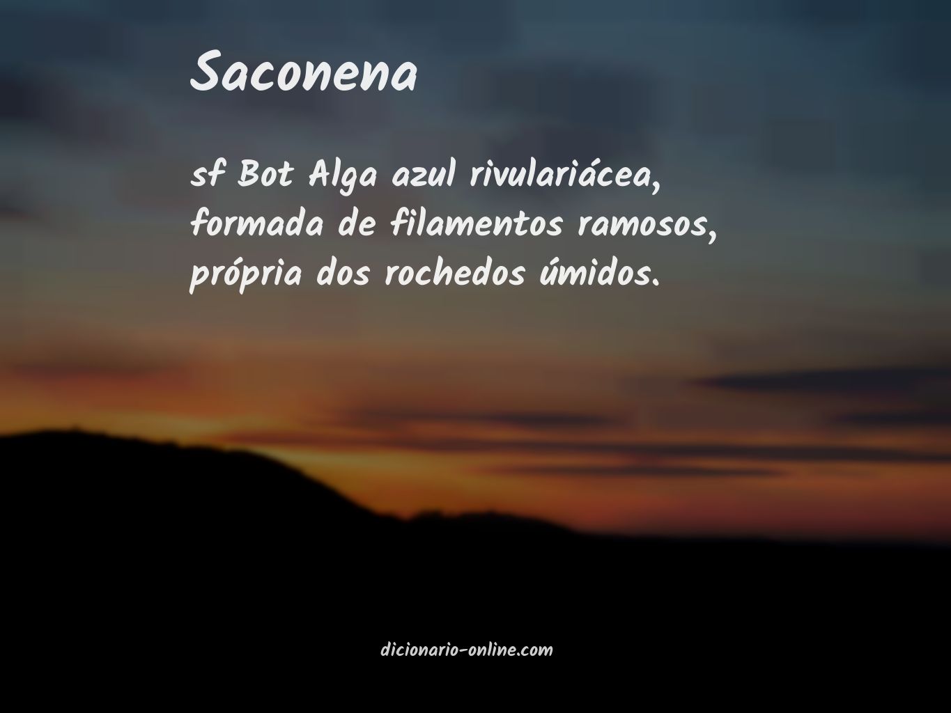 Significado de saconena