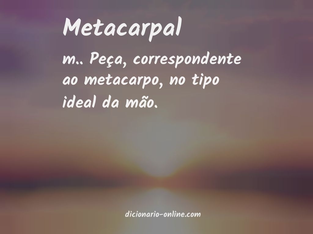 Significado de metacarpal
