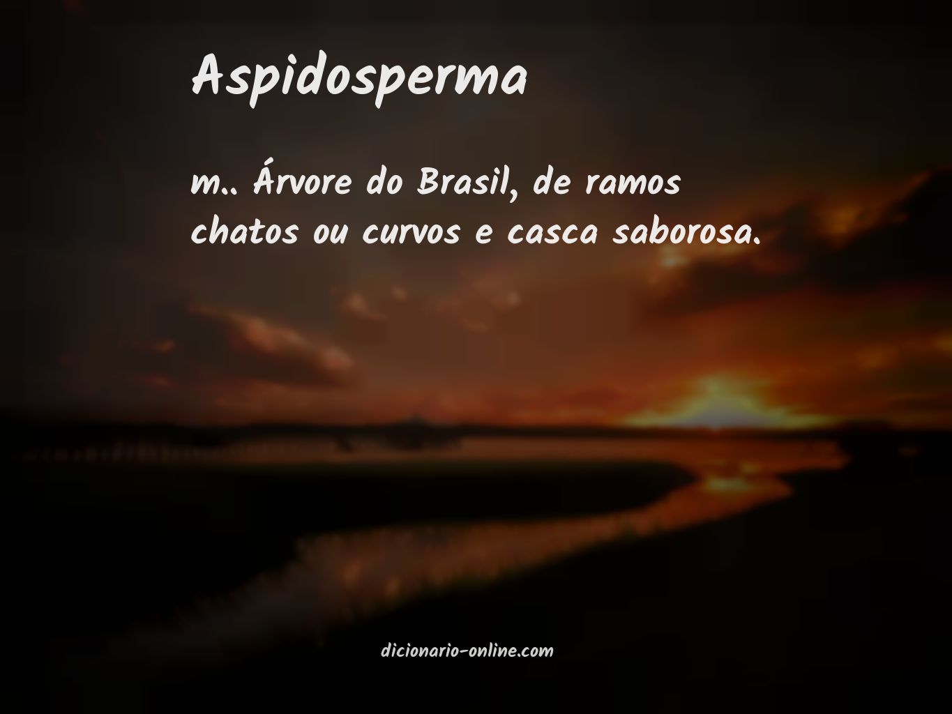 Significado de aspidosperma