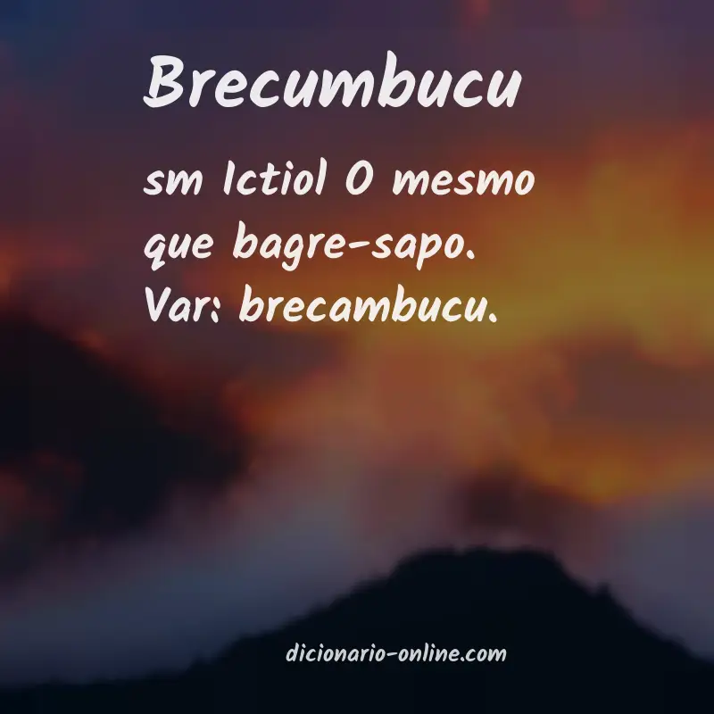 Significado de brecumbucu