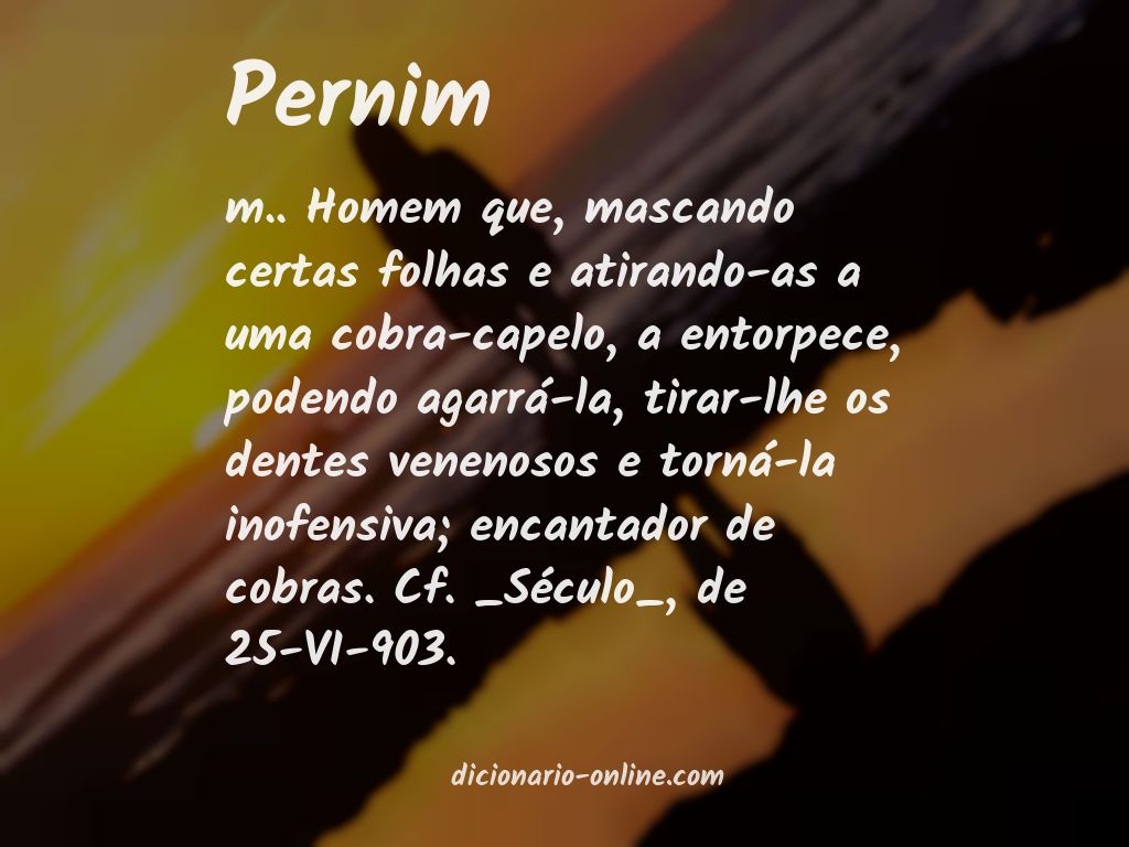 Significado de pernim