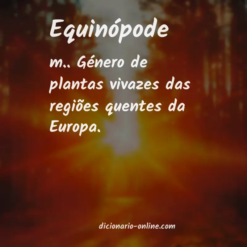 Significado de equinópode