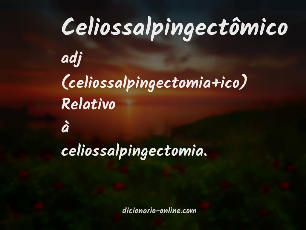 Significado de celiossalpingectômico