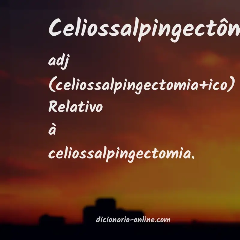 Significado de celiossalpingectômico