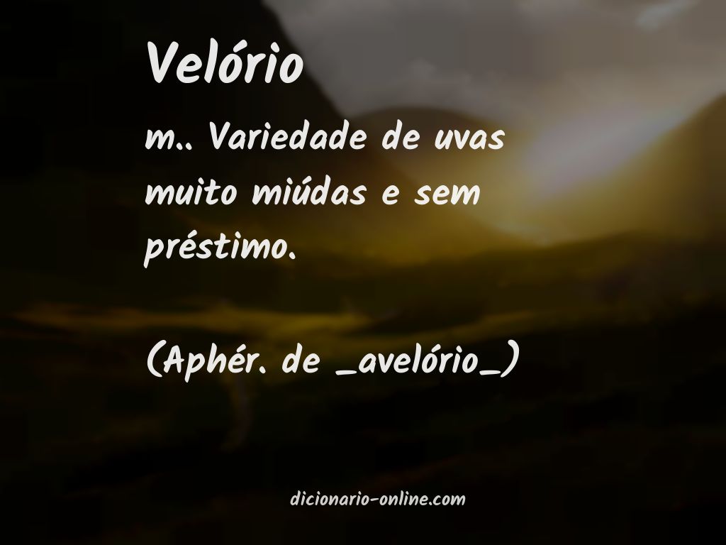 Significado de velório