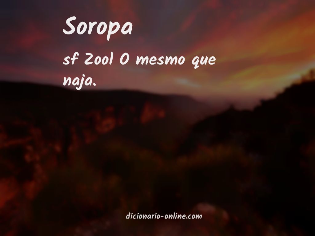 Significado de soropa