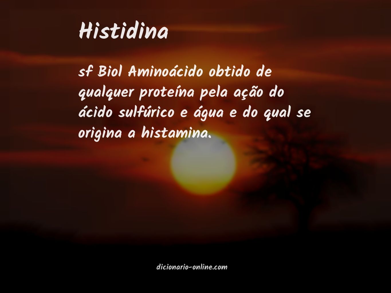 Significado de histidina