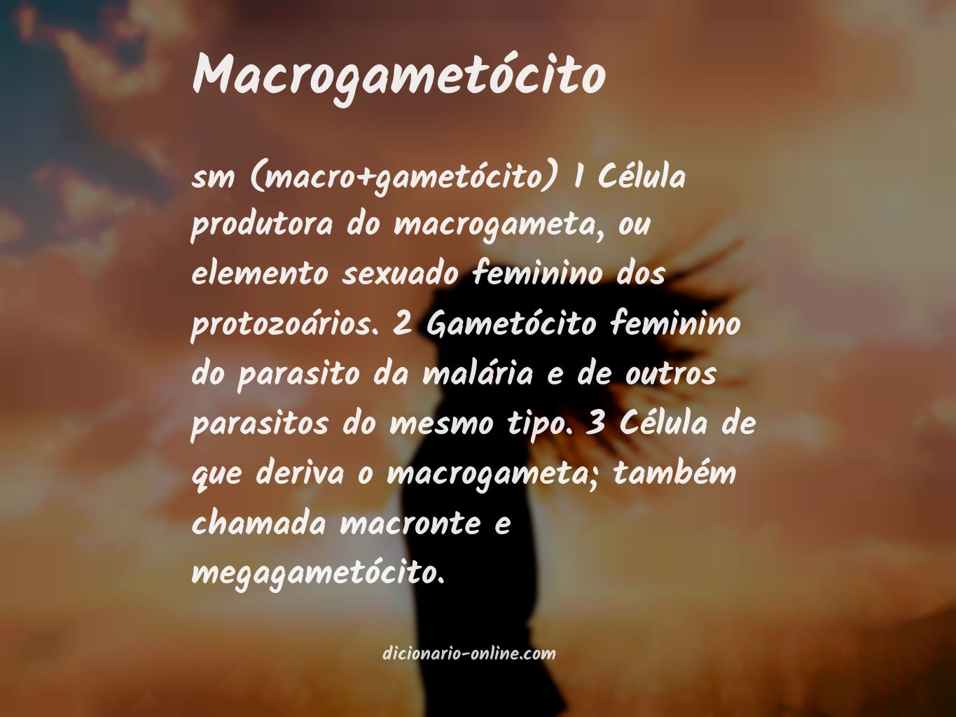 Significado de macrogametócito