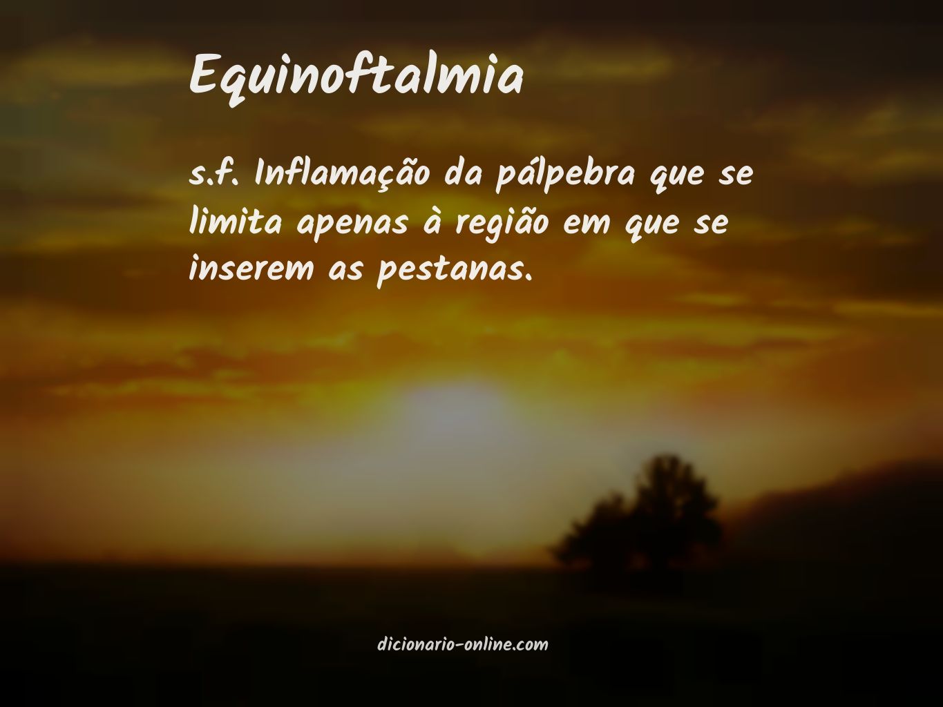 Significado de equinoftalmia