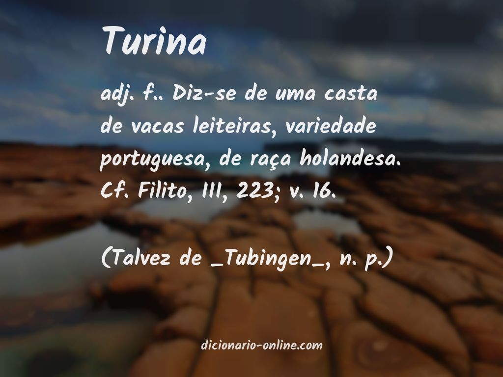 Significado de turina