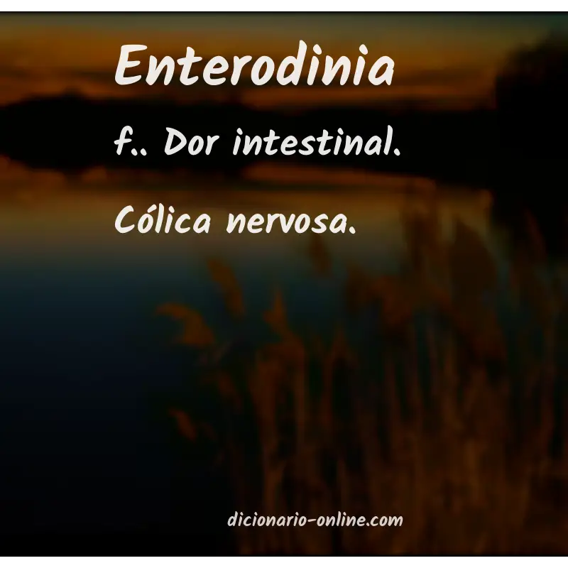 Significado de enterodinia