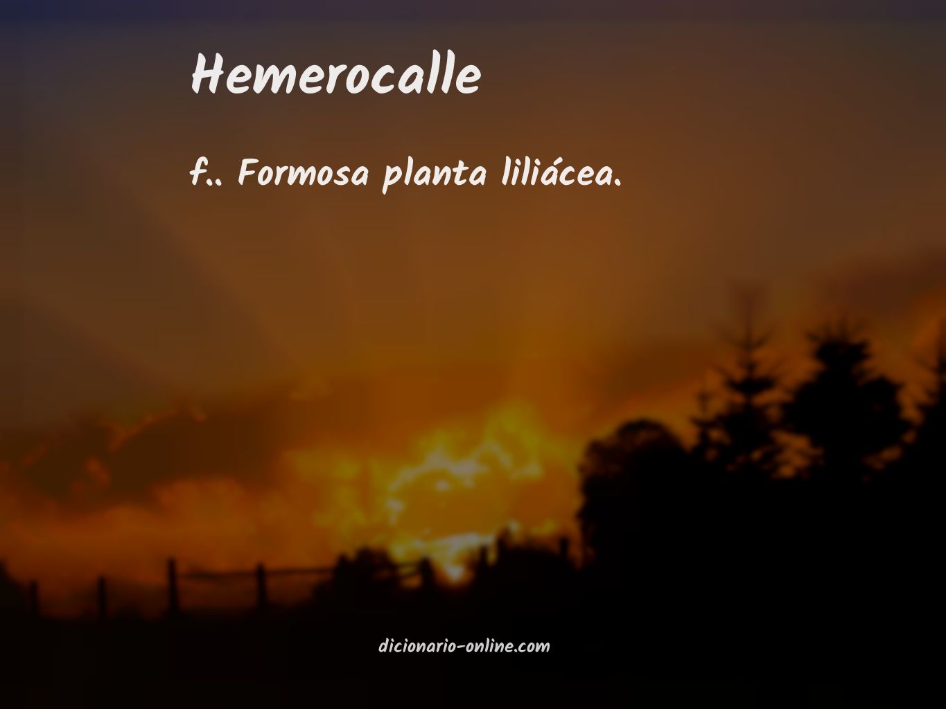 Significado de hemerocalle